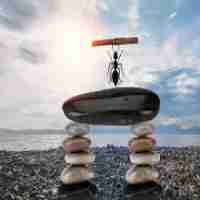 自​动‌收‌录‌软‌件‌下﻿载​安‌装​